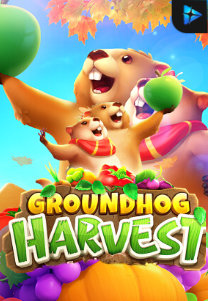 Groundhog Harvest